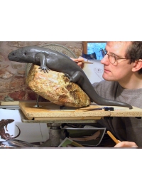 Skink in clay by Reconstruction: Mauritius Giant Skink