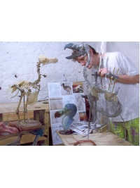 Dodo armature by Reconstruction: Dodo