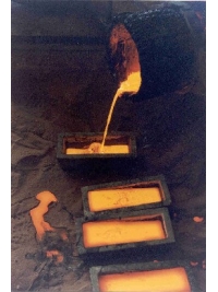 Pangolin Editions