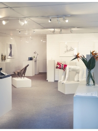 Gallery Pangolin