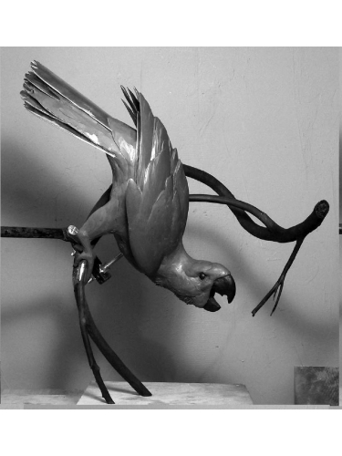 Mascarene Parrot in clay