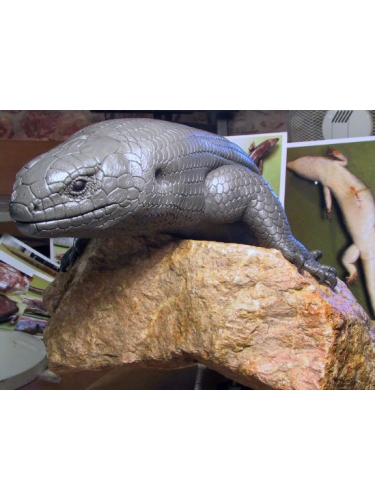 Skink in clay