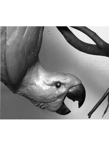 Mascarene Parrot in clay