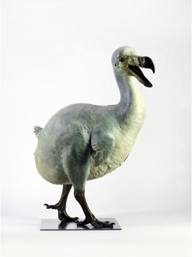 Dodo