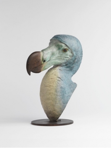 Dodo Head