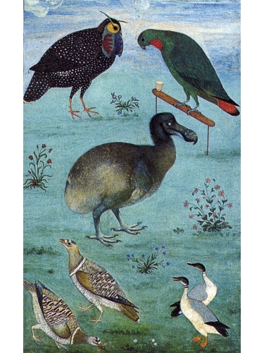 Birds in the Menagerie of Jahangir