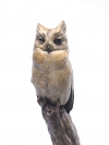 Mauritius Scops Owl