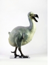 Dodo