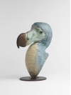 Dodo Head