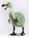 Dodo