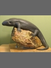 Skink in clay by Reconstruction: Mauritius Giant Skink