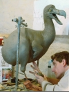Dodo in clay by Reconstruction: Dodo
