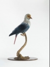 Mauritius Blue Pigeon by Nick Bibby