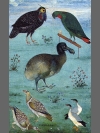 Birds in the Menagerie of Jahangir by Research: Dodo